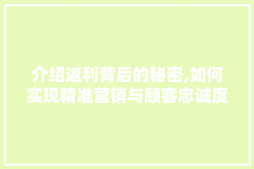 介绍返利背后的秘密,如何实现精准营销与顾客忠诚度提升