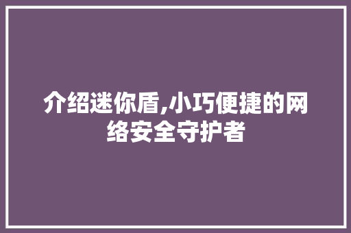 介绍迷你盾,小巧便捷的网络安全守护者