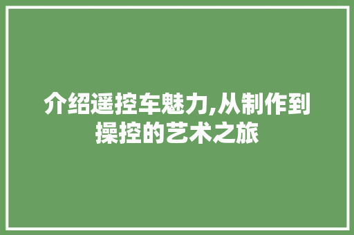 介绍遥控车魅力,从制作到操控的艺术之旅
