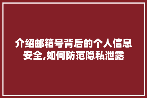 介绍邮箱号背后的个人信息安全,如何防范隐私泄露