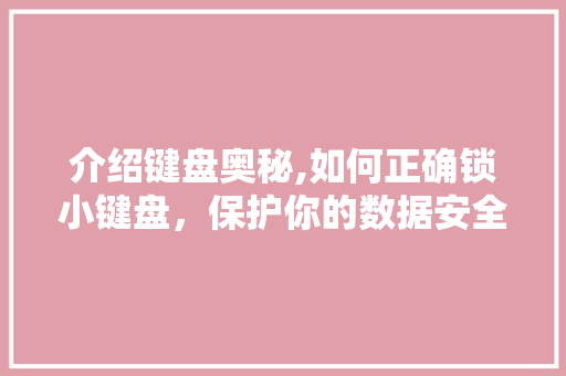 介绍键盘奥秘,如何正确锁小键盘，保护你的数据安全