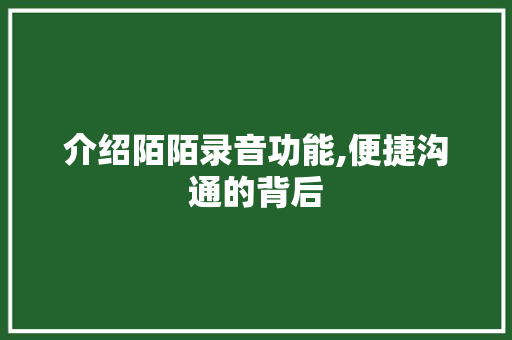 介绍陌陌录音功能,便捷沟通的背后