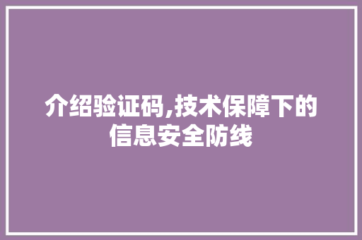 介绍验证码,技术保障下的信息安全防线