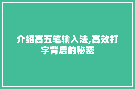 介绍高五笔输入法,高效打字背后的秘密