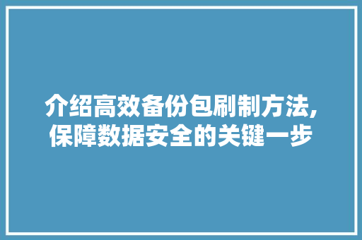 介绍高效备份包刷制方法,保障数据安全的关键一步