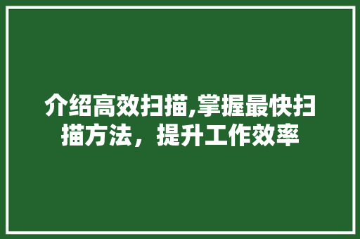 介绍高效扫描,掌握最快扫描方法，提升工作效率