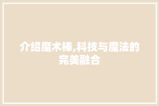 介绍魔术棒,科技与魔法的完美融合