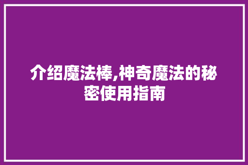 介绍魔法棒,神奇魔法的秘密使用指南