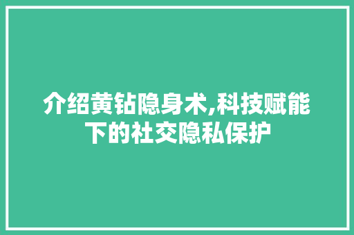 介绍黄钻隐身术,科技赋能下的社交隐私保护