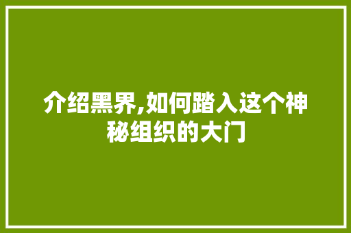 介绍黑界,如何踏入这个神秘组织的大门