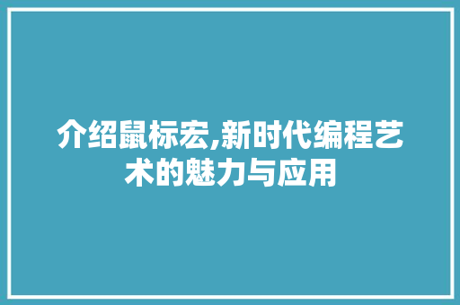 介绍鼠标宏,新时代编程艺术的魅力与应用