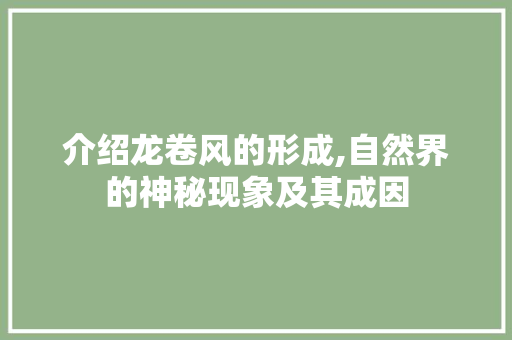 介绍龙卷风的形成,自然界的神秘现象及其成因