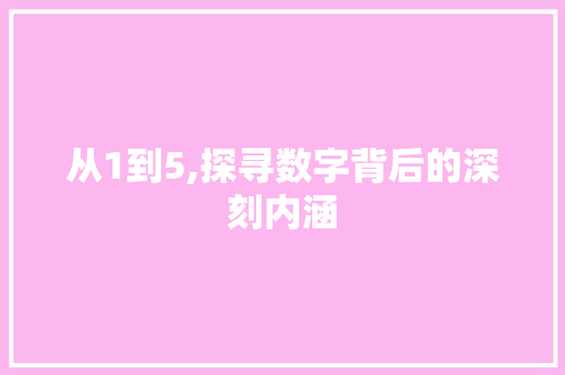 从1到5,探寻数字背后的深刻内涵