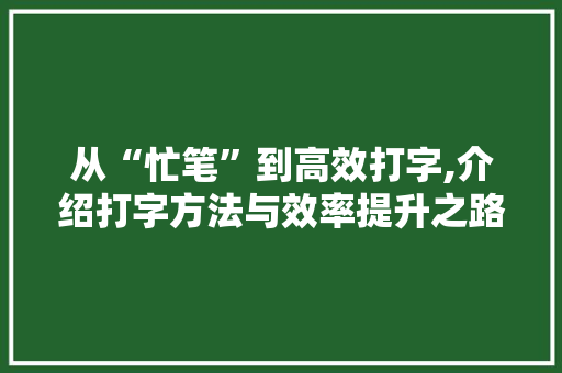 从“忙笔”到高效打字,介绍打字方法与效率提升之路