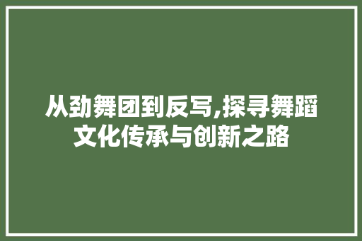 从劲舞团到反写,探寻舞蹈文化传承与创新之路