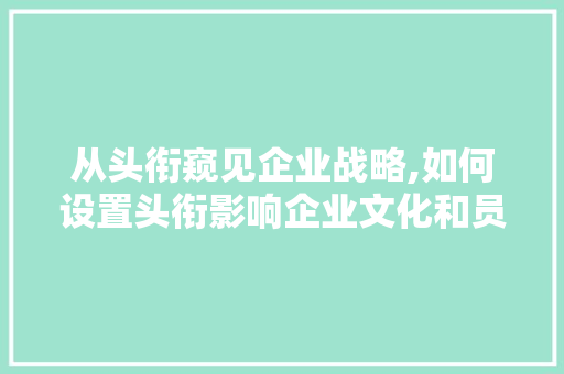 从头衔窥见企业战略,如何设置头衔影响企业文化和员工发展