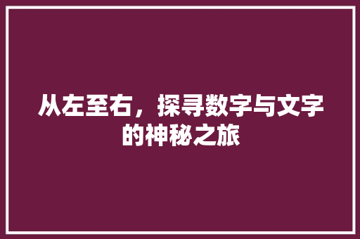 从左至右，探寻数字与文字的神秘之旅