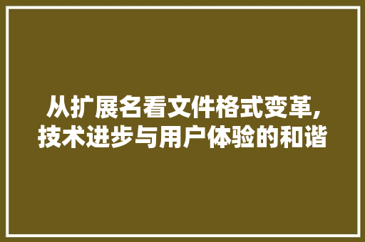 从扩展名看文件格式变革,技术进步与用户体验的和谐共生