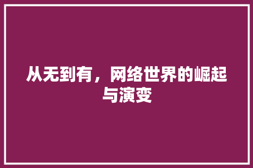 从无到有，网络世界的崛起与演变