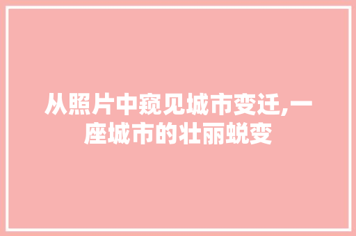从照片中窥见城市变迁,一座城市的壮丽蜕变