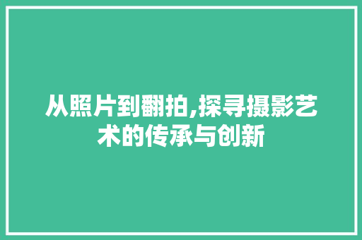 从照片到翻拍,探寻摄影艺术的传承与创新