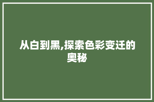 从白到黑,探索色彩变迁的奥秘