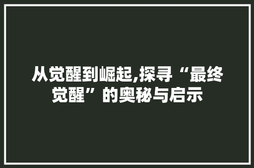从觉醒到崛起,探寻“最终觉醒”的奥秘与启示