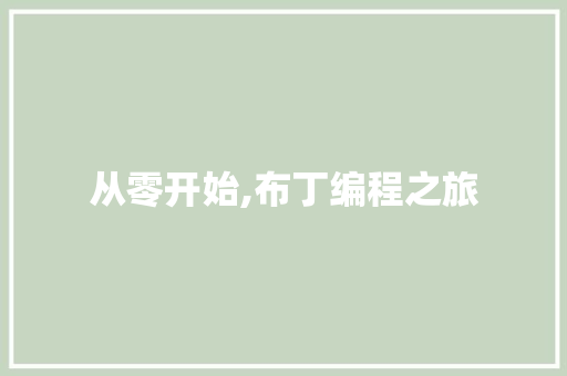 从零开始,布丁编程之旅