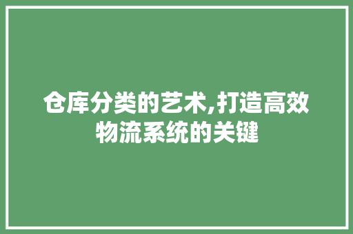 仓库分类的艺术,打造高效物流系统的关键