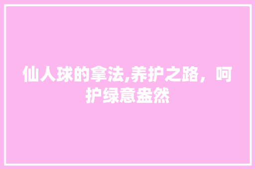 仙人球的拿法,养护之路，呵护绿意盎然