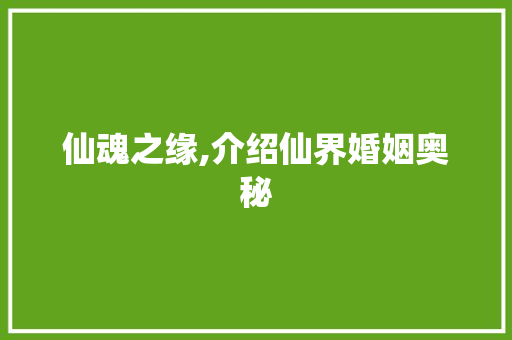 仙魂之缘,介绍仙界婚姻奥秘