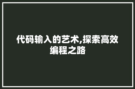 代码输入的艺术,探索高效编程之路
