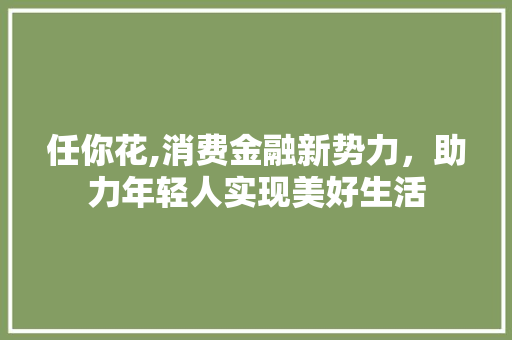 任你花,消费金融新势力，助力年轻人实现美好生活