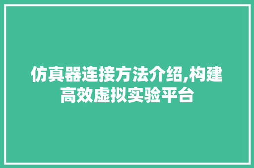 仿真器连接方法介绍,构建高效虚拟实验平台