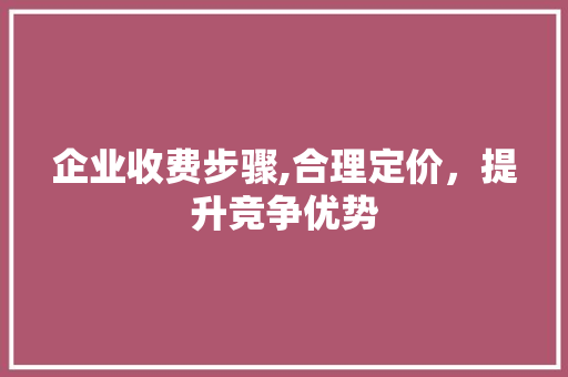 企业收费步骤,合理定价，提升竞争优势