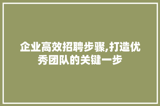 企业高效招聘步骤,打造优秀团队的关键一步
