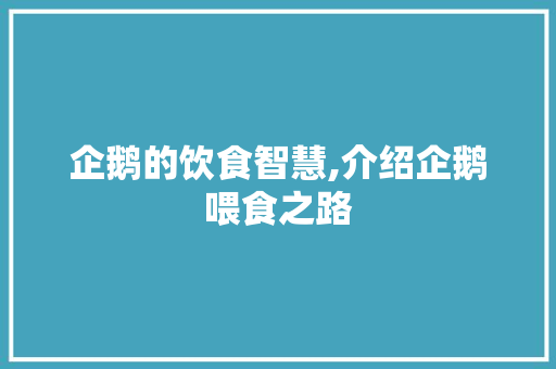 企鹅的饮食智慧,介绍企鹅喂食之路