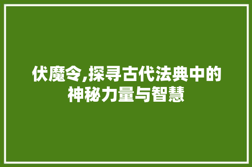 伏魔令,探寻古代法典中的神秘力量与智慧
