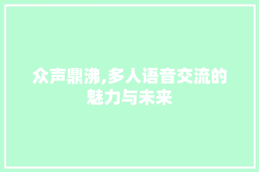 众声鼎沸,多人语音交流的魅力与未来