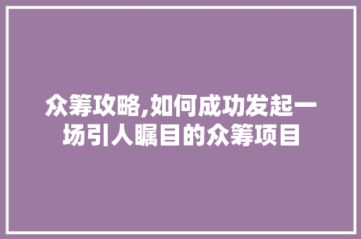 众筹攻略,如何成功发起一场引人瞩目的众筹项目