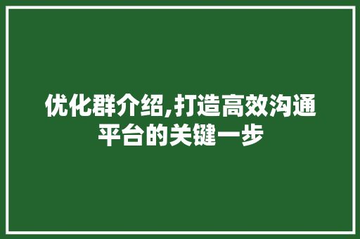 优化群介绍,打造高效沟通平台的关键一步