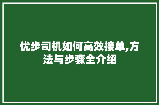 优步司机如何高效接单,方法与步骤全介绍
