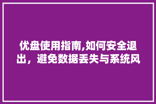 优盘使用指南,如何安全退出，避免数据丢失与系统风险