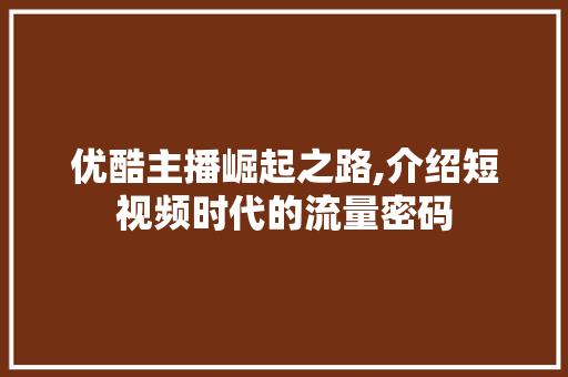 优酷主播崛起之路,介绍短视频时代的流量密码