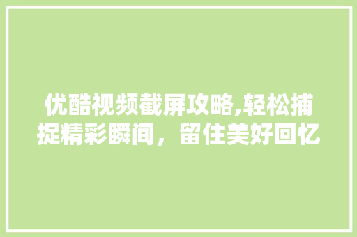 优酷视频截屏攻略,轻松捕捉精彩瞬间，留住美好回忆