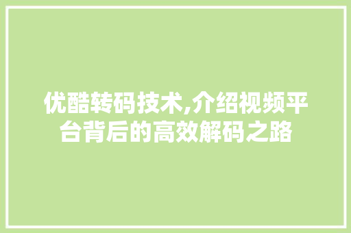 优酷转码技术,介绍视频平台背后的高效解码之路