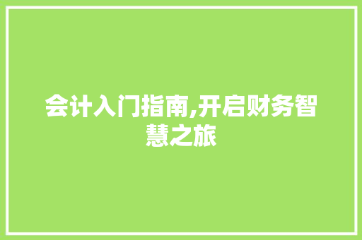 会计入门指南,开启财务智慧之旅