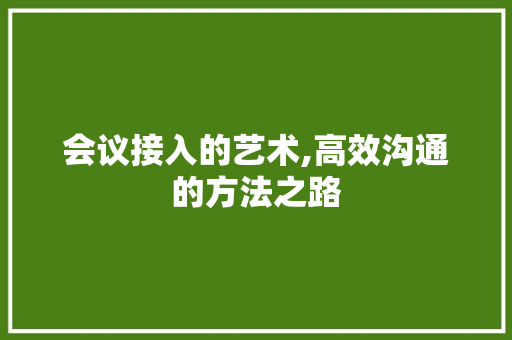会议接入的艺术,高效沟通的方法之路