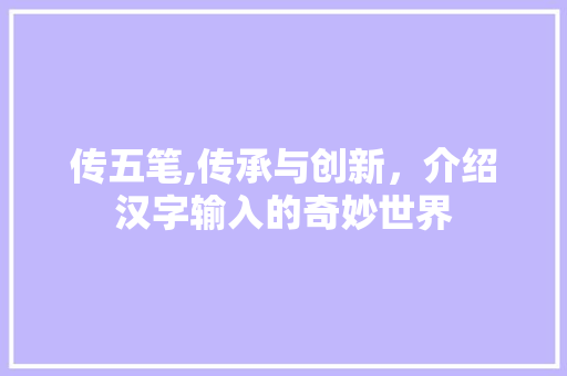 传五笔,传承与创新，介绍汉字输入的奇妙世界