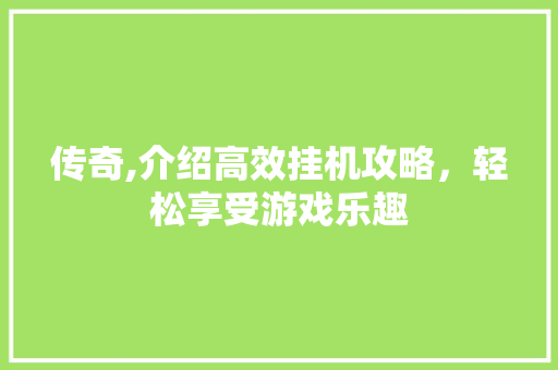 传奇,介绍高效挂机攻略，轻松享受游戏乐趣
